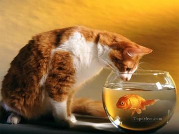 Katze und Goldfisch Ölgemälde